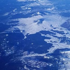 Meet your Posher, Ricky